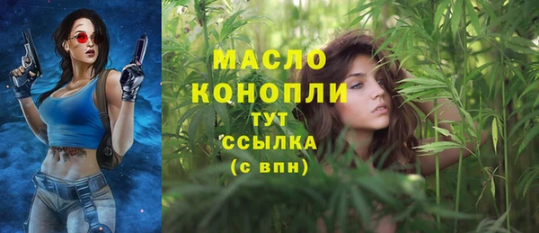 твердый Надым