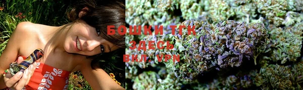 ПСИЛОЦИБИНОВЫЕ ГРИБЫ Наволоки