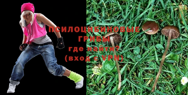 ПСИЛОЦИБИНОВЫЕ ГРИБЫ Наволоки