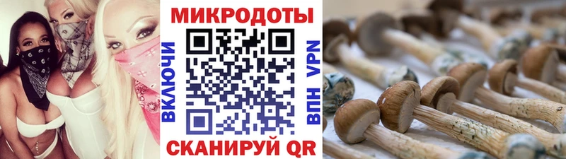 Купить  Нижневартовск  Галлюциногенные грибы MAGIC MUSHROOMS 